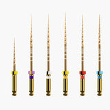 Dentsply Protaper Gold Rotary Files 21mm25mm