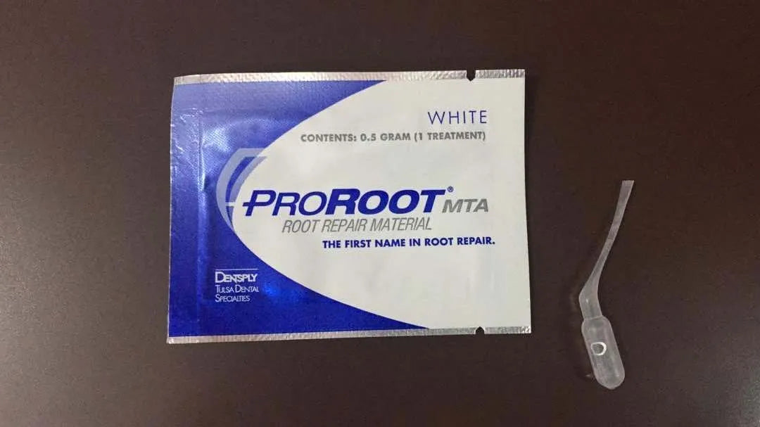 Dentsply Proroot MTA 0.5 Gm